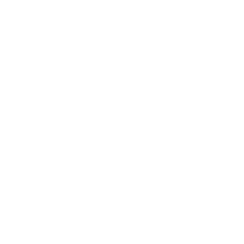 Y Not Youth